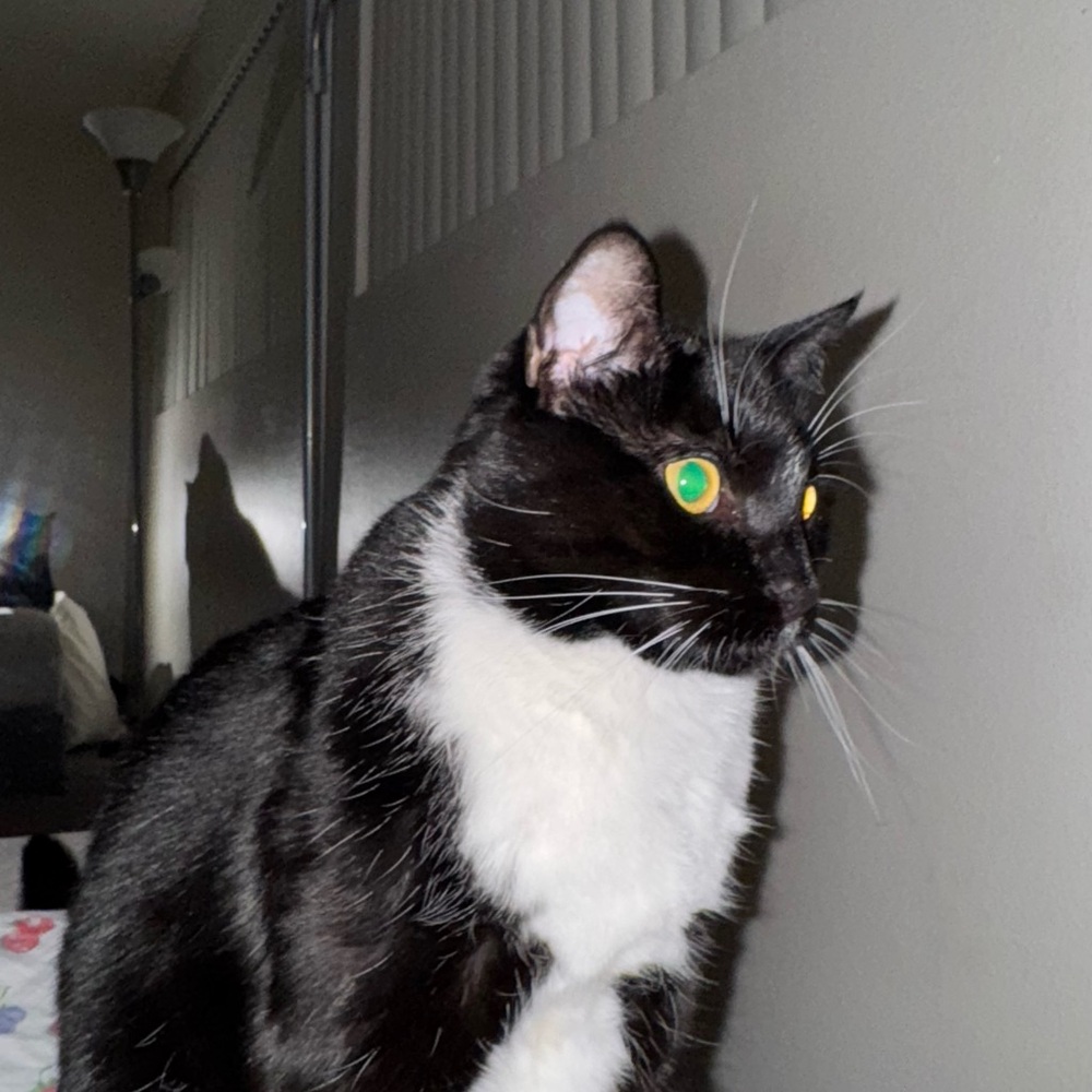 Do not purchase!! Shipping test